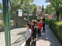 Evrensel Kolej